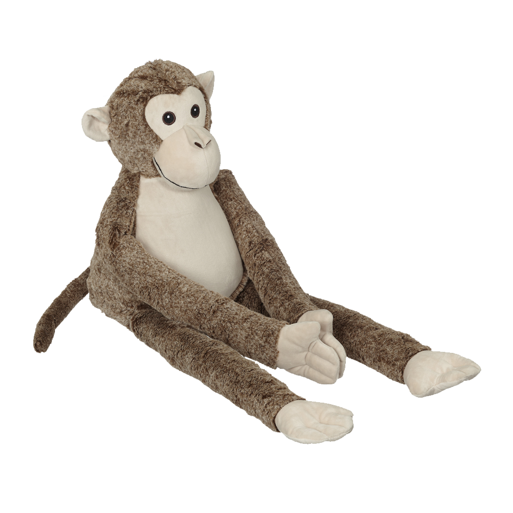 monkey teddies